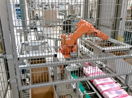 RoboMecs project experience - Robotic Systems 1