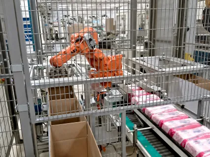 RoboMecs project experience - Robotic Systems 2