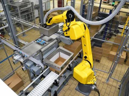 RoboMecs project experience - Robotic Systems 4