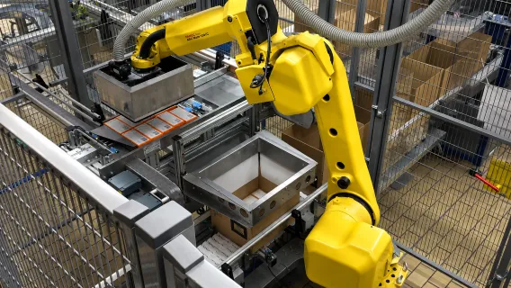 RoboMecs project experience - Robotic Systems 5