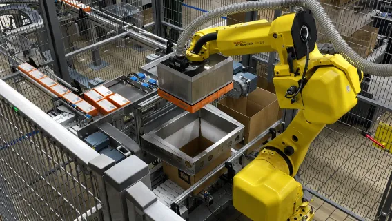 RoboMecs project experience - Robotic Systems 6